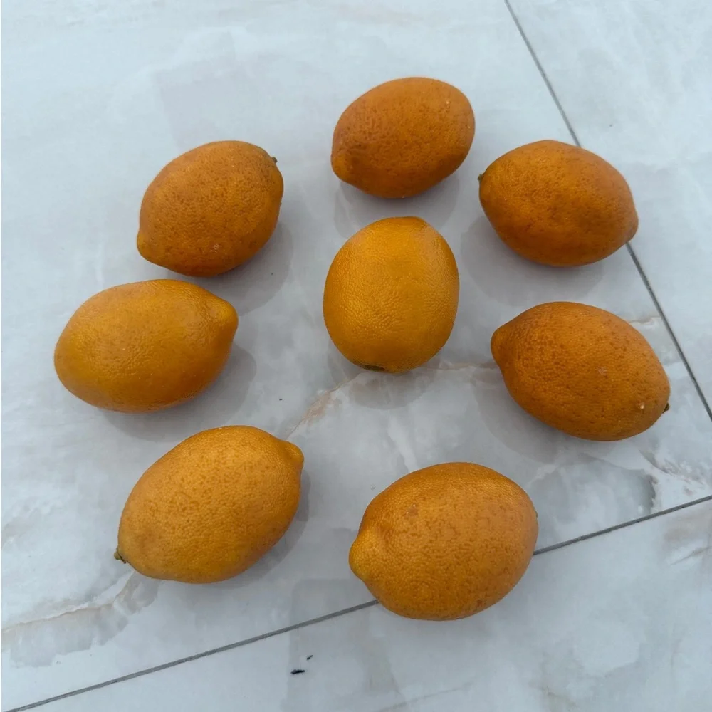 8 Real Looking Artificial Lemons for Decor